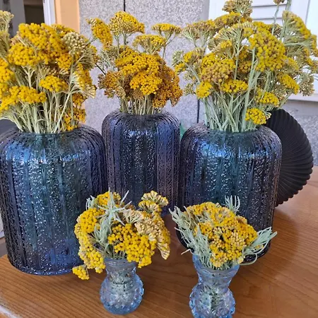 Smiljin Dvor Apartman *